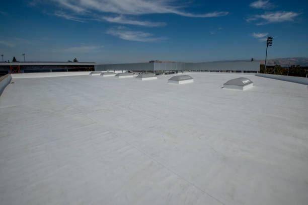 Best Gutter Installation and Repair  in Ferrysburg, MI