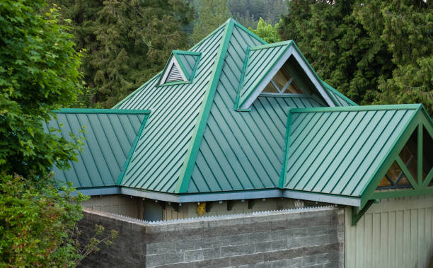 Best Metal Roofing Installation  in Ferrysburg, MI