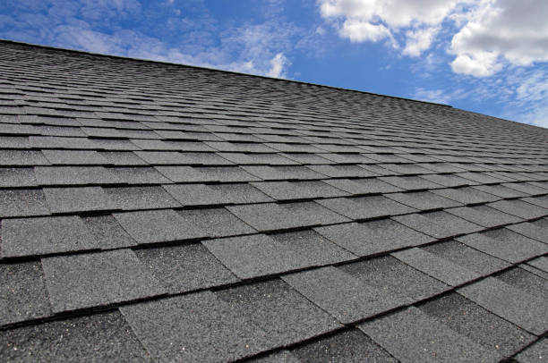 Best Roofing for New Construction  in Ferrysburg, MI